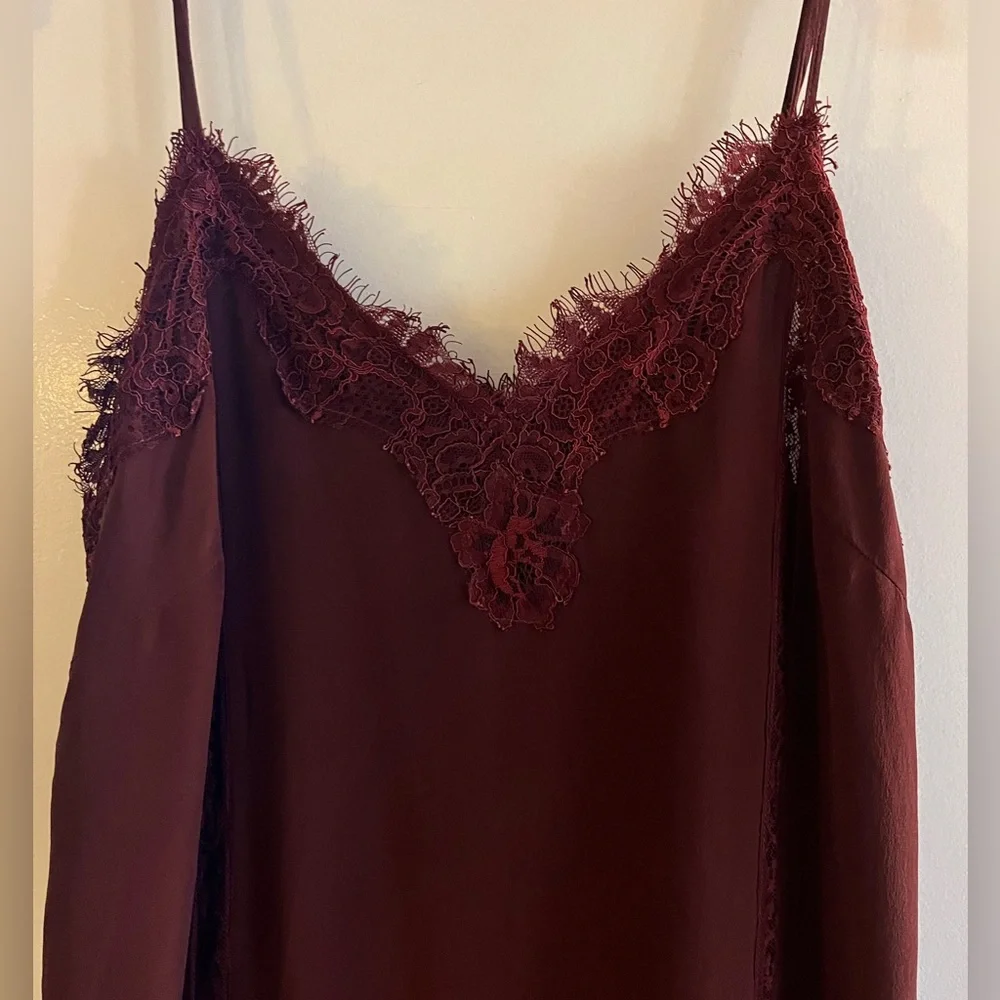 Gold Hawk Pleated Lace Silk Dress - Picture 5 of 6